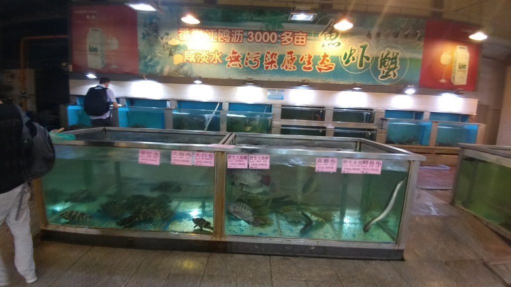 Fresh fish for dinner in Guangzhou